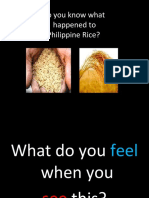 Do You Know What Happened To Philippine Rice?