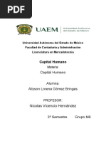 2.2.4. Inventario de Competencias Del Capital Humano. | PDF