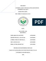 Mini Riset SH Kelompok 4 PDF