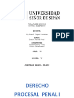 Desarrolo de Preguntas Procesal Penal