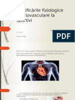 Modificările Fiziologice Cardiovasculare La Sportivi