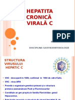 Curs_Berliba_HCV_2014