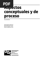 Aspectos Conceptuales y Del Proceso