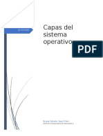 Capas del SO.docx