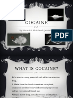 Cocaine: by Meredith Muirhead (Period 8)