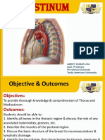 SDL - Thorax Mediastinum