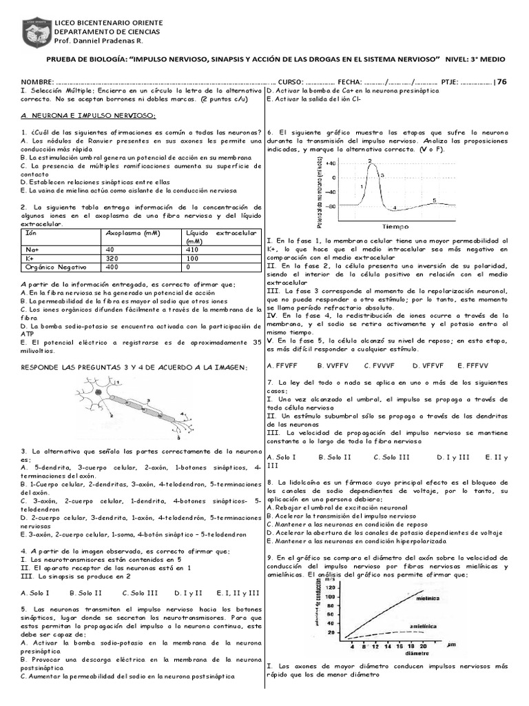 Impulso Nervioso y Telodendron en Neuronas | PDF | Sinapsis | Potencial ...