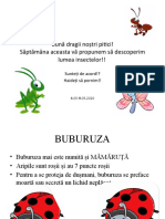 Prezentare INSECTE