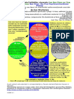 Ben-Shen-Sufletele-Entităţilor-viscerale.docx