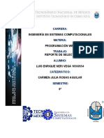 REPORTE DE SELECTORES.docx