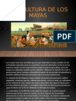 Agricultura de Los Mayas