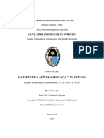 Monografía - Mollinedo Chayña PDF