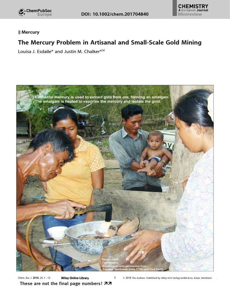 The Mercury Problem in Artisanal and Small-Scale Gold Mining | PDF ...