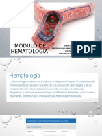Modulo de Hematología