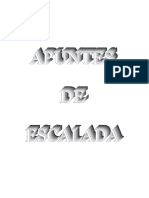 Apuntes de Escalada - A. Arregi PDF