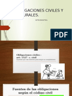 Obligaciones Civiles y Naturales