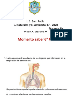 Momento Saber 2 - 6°