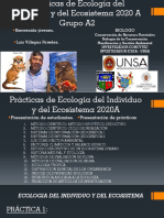 Informacion Ingenieria Industrial | PDF | Ciencias de la