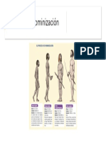 Proceso de hominización