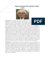 Piaget y Las Etapas Del Desarrollo Cognitivo