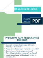 Determinacion Del Sexo.1