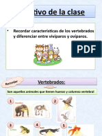 2° Básico Ciencias Ovíparos y Vivíparos