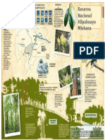 Reserva Nacional Allpahuayo Mishana