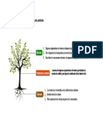 Arbol de Problemas de La Empresa Bolivia Eventos