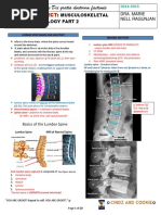 Lumbar X-ray Interpretation Guide | PDF | Vertebra | Vertebral Column