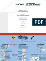 Carteles Prehospitalaria