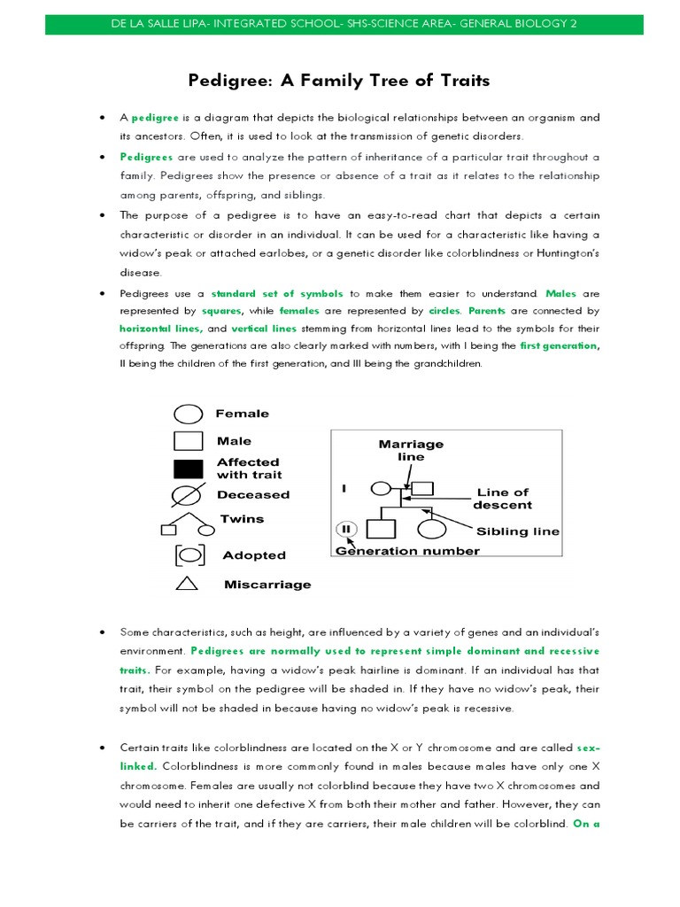 Pedigree Analysis HandOut PDF Dominance Allele