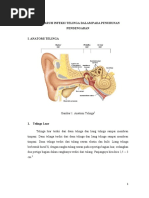 Download Anatomi telinga by Yuanda Arzt SN46150889 doc pdf