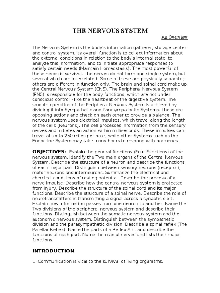 Notes On THE NERVOUS SYSTEM | PDF | Nervous System | Neuron