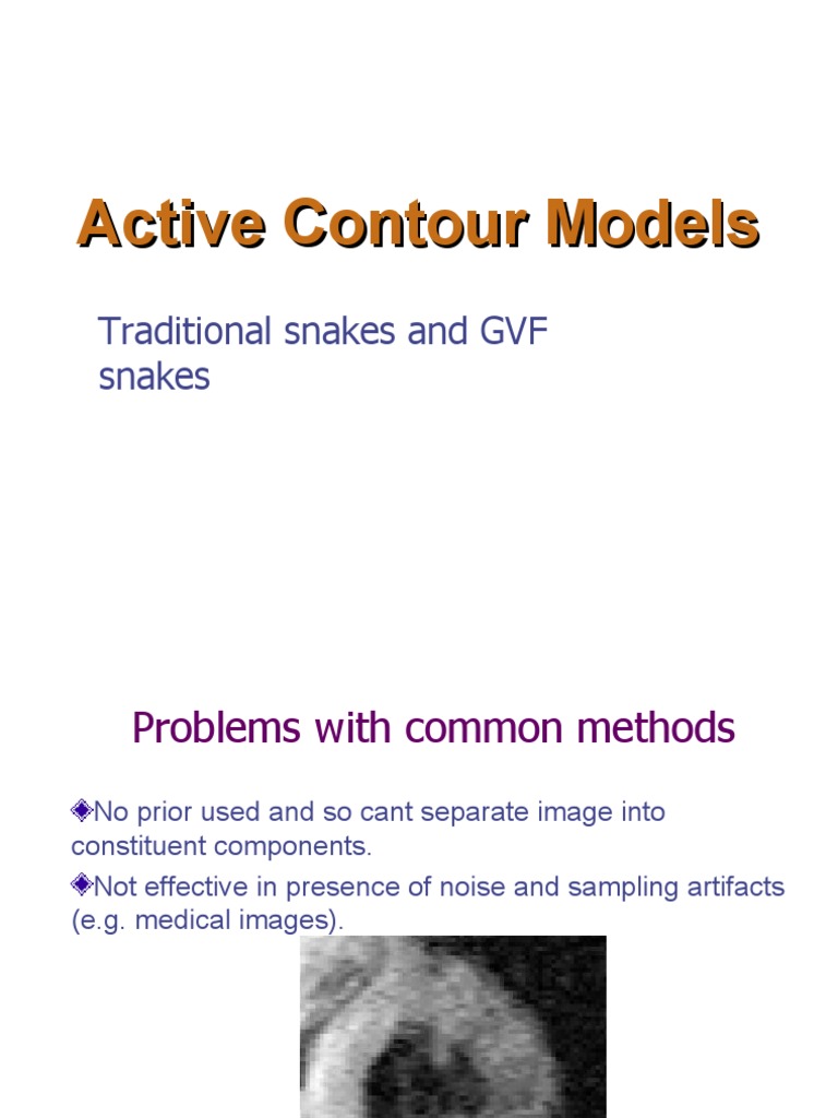Snakes | PDF | Elasticity (Physics) | Mathematical Analysis