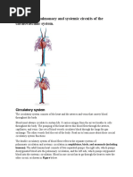 Compare The Pulmonary and Systemic Circuits of The Cardiovascular System