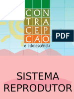 Cien 8ano SistReprodutorMetodosContraceptivos Branca