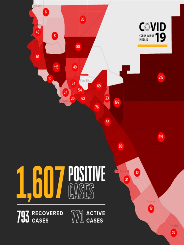 Positive: Recovered Cases Active Cases | PDF | Epidemics | Diseases And ...