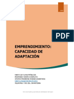 04-Contenido capacidad de adaptacion..pdf