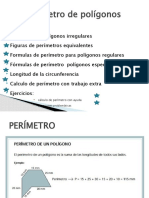 PERIMETRO-1 PPSX