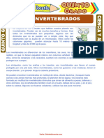 Los Invertebrados para Quinto Grado de Primaria PDF