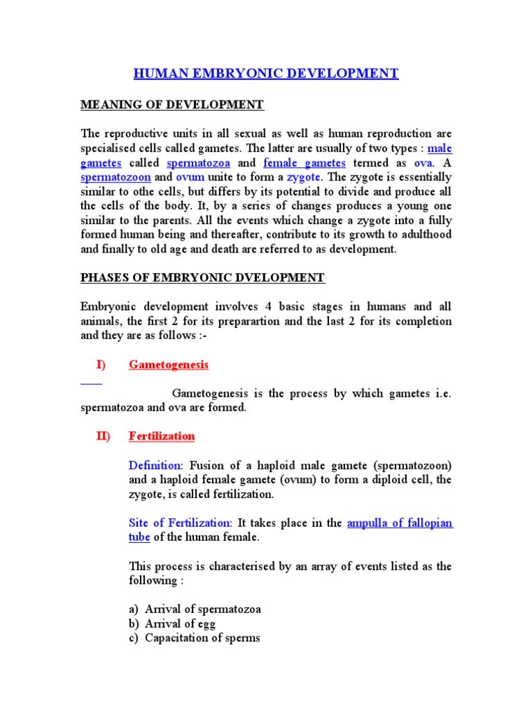 Human Embryonic Development | PDF | Anatomy | Animal Anatomy