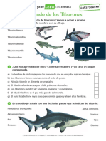 LEER 2 Tiburones Activi PDF