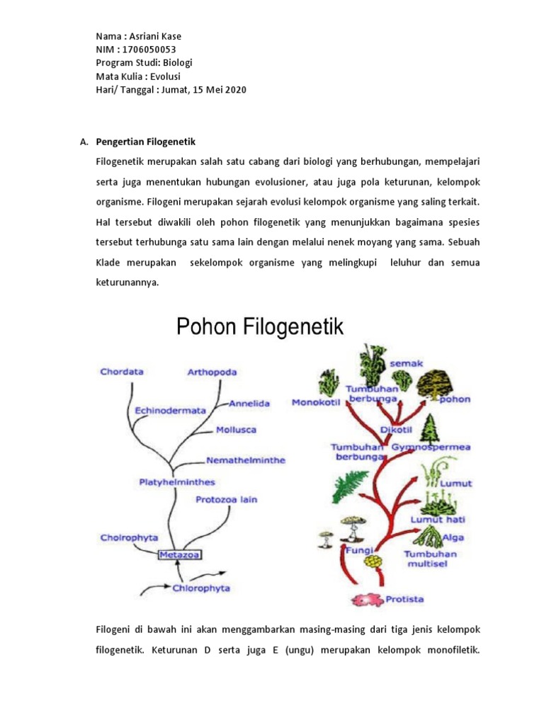 Memahami Pohon Filogenetik dan Klasifikasinya | PDF