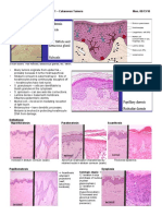 Pathology 5 a.pdf