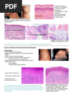 Pathology 5 B PDF