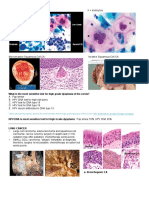 Pathology 5 d.pdf