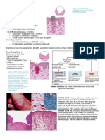 Pathology-2b.pdf