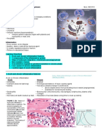 Pathology 2 PDF