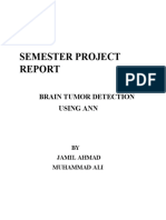Semester Project: Brain Tumor Detection Using Ann