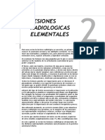 040_reumato_lesiones_radiologicas_elementales.pdf